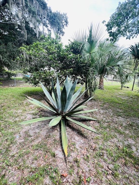 Вилла House Of Shells, Beautiful Garden, Fenced Yard, Dog Friendly, Fire Pit! Кристал-Ривер Экстерьер фото