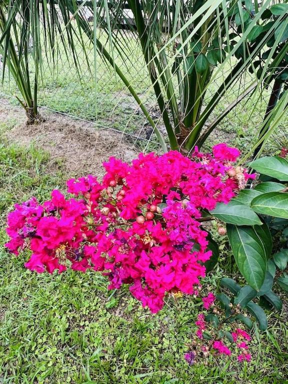 Вилла House Of Shells, Beautiful Garden, Fenced Yard, Dog Friendly, Fire Pit! Кристал-Ривер Экстерьер фото